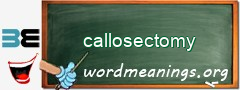 WordMeaning blackboard for callosectomy